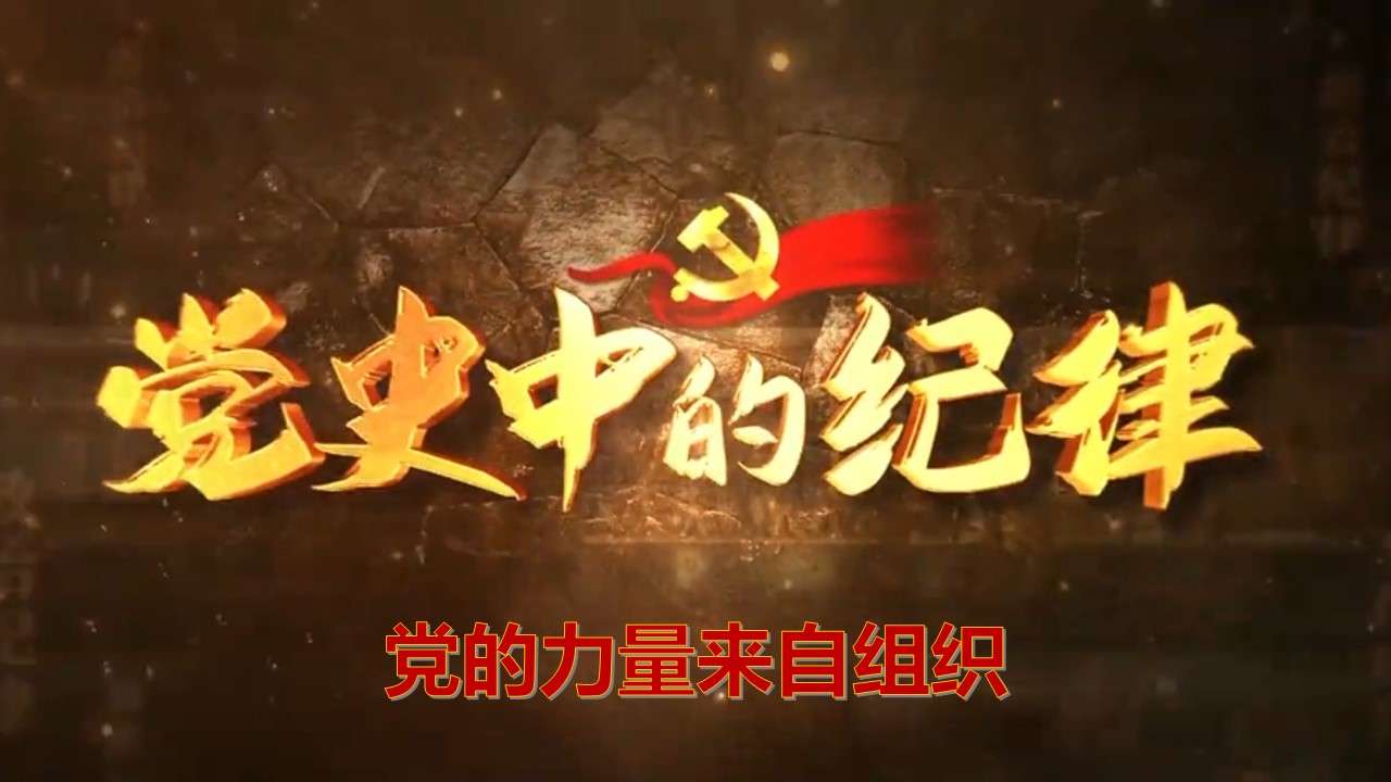 �����羺��(�й���)�ٷ���վ