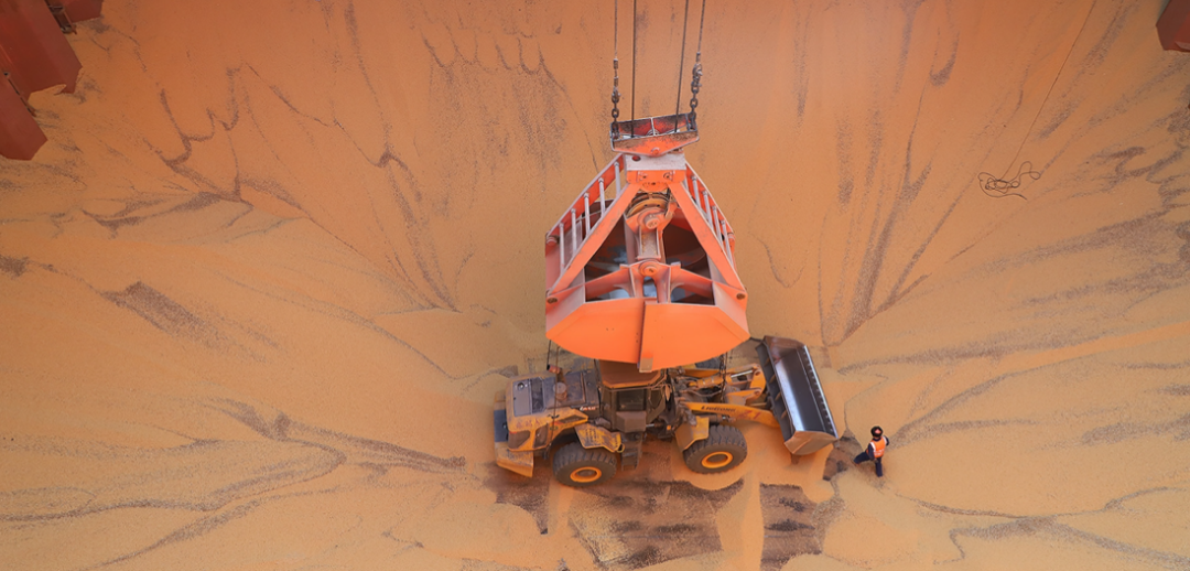 �����羺��(�й���)�ٷ���վ