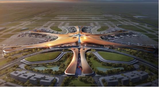 �����羺��(�й���)�ٷ���վ