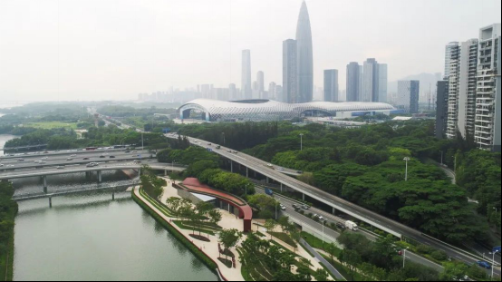 �����羺��(�й���)�ٷ���վ