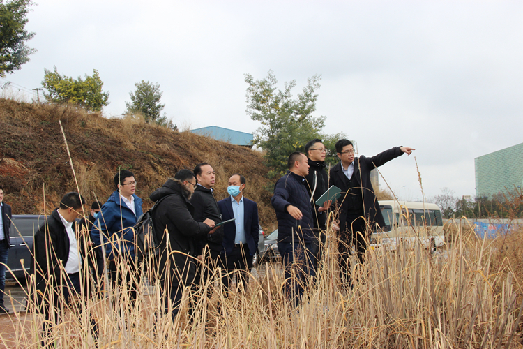 �����羺��(�й���)�ٷ���վ